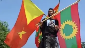 TPLF OLF flags