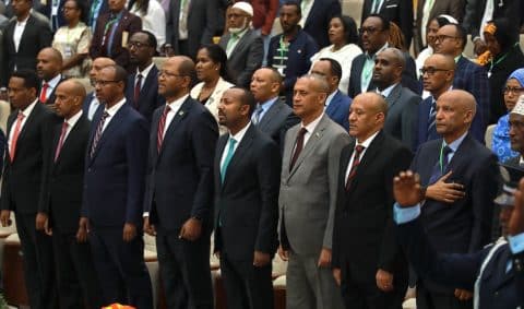 Elite Cooptation,Prosperity Party’s Strategy,Opposition Fragmentation